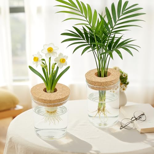 4 Pack Glass Plant Propagation Station,Desktop Vases for Home Office Decor