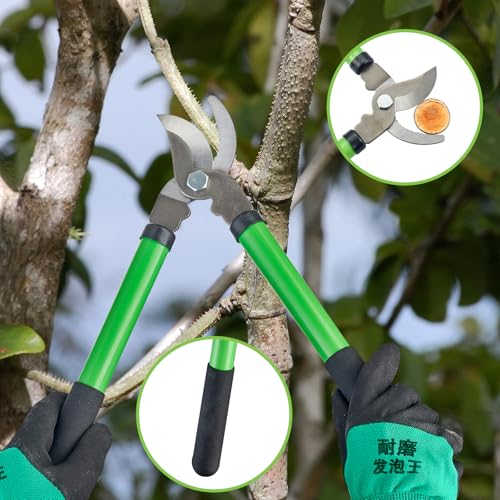 Pro Pruning Shears - Heavy Duty Garden Shears with SK-5 Steel Blades, Ergonomic Non-Slip Handle Tree Branch Cutter & Flower Arranging Tool