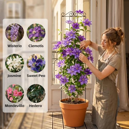 ARIFARO 4Pack 47'' Metal Garden Trellis for Climbing Plants Outdoor - size: 47 inches