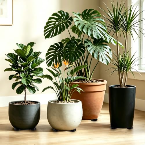 Plant Pot Feet Rubber Pot Risers Planter Feet for Outdoor Indoor Planters - size: Large 12 Pack 2" W x 1" H
