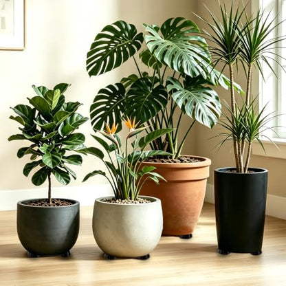 Plant Pot Feet Rubber Pot Risers Planter Feet for Outdoor Indoor Planters - size: Large 12 Pack 2" W x 1" H