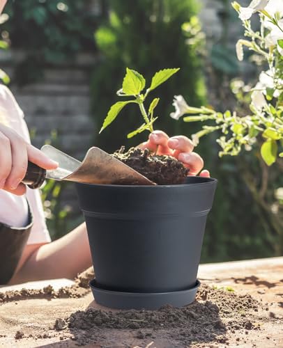 homenote 7.5 Inch Plastic Flower Pots with Drainage Holes and Trays (8 Pcs) - color: Black-8 Pcs, size: 7.5 Inch