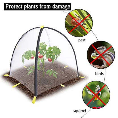 PURPLE STAR 1N 28 x28 x 33 Inch Insect Barrier Plant Tent Cover-Pest Guard Cover-Bird Barrier Netting Mesh with Stakes for Protect Plants Fruits Flower from Insect Bird Eating (1, M) - color: M