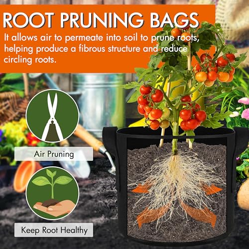 Gardzen 10-Pack 1 Gallon Grow Bags Fabric Pots with Heavy Duty Handles - size: 1 Gallon