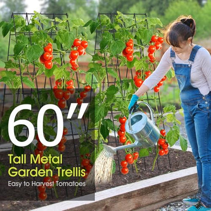 RIFNY Cucumber Trellis for Raised Bed, Garden Trellis 16.5 x 60 Inch, Black - color: Black, size: 16.5 x 60 Inch