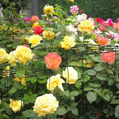 2 Pack Round Peony Cages and Supports Grow Through Plant Supports Ring Hoop,24 inch Plant Support Stake with 3 Legs for Potted Plant Tomato, Rose (24inch)