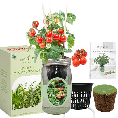 Hydroponic Tomato Growing Kit, Self-Watering Mason Jar Tomato Garden Starter Kit Indoor, Grow Tomatoes from Organic Seeds (Tiny Tim Cherry Tomato) - color: Cherry Tomato - Tiny Tim