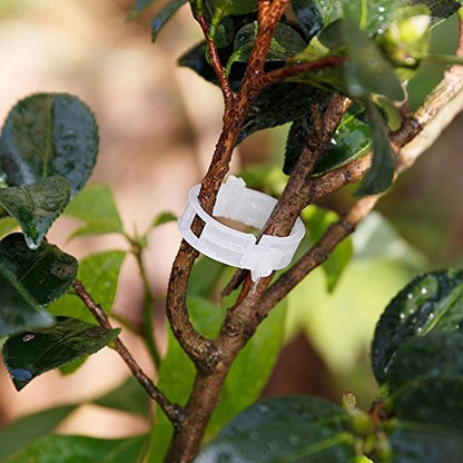 KINGLAKE Plant Support Garden Clips,Tomato Vine Clips,Tomato Trellis Clips 200 Pcs for Vine Vegetables Tomato to Grow Upright and Makes Plants Healthier - color: White