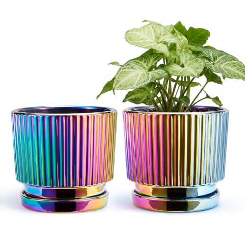 STHIE Purple Gold Ceramic Planters,Plant Pots with Drainage Holes Set of 2 - color: 01-brightly Black