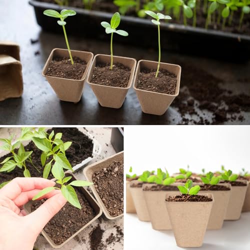 Baxrou 120 Pack 3.15 Inch Square Peat Pots for Seedlings - style: Square
