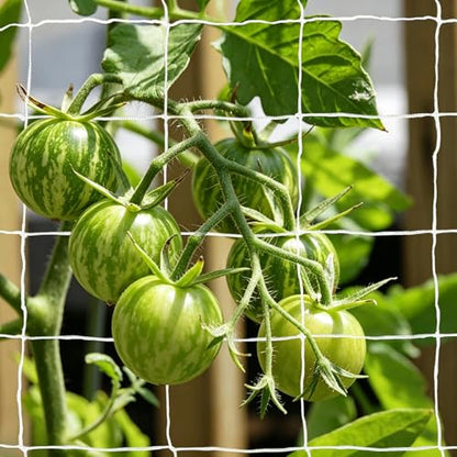 15 Ft x 5 Ft Trellis Netting for Climbing Plants, Garden Trellis Netting for Outdoor Indoor, 6" Square Mesh Ployester, White