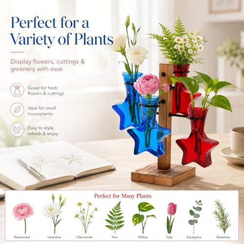 Nacome Plant Terrarium Propagation Station: Red Blue Vase with Wooden Stand - color: Red Blue
