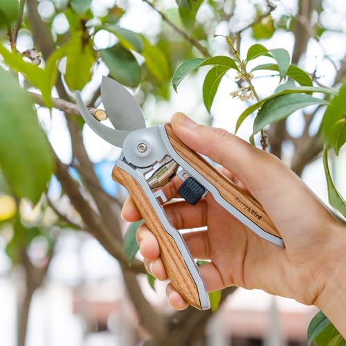 Berry&Bird Mini Pruning Shears for Gardening Curved Blades Hand Pruners with Wooden Handle Garden Scissors Snips Stainless Steel Trimming Small Clippers Bonsai Compact Size Sheaering Tool - style: 6.1'' Mini Curved Blade Scissors
