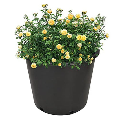 Plant Nursery Pot 7 Gallon Plastic Garden Planter Pots Flower Seedling Injection Molded Container Seed Starting Large Pot Set for Indoor Outdoor Plants Seedlings Vegetables - size: Standard 7 Gallon