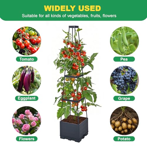 2 Pack Raised Garden Bed, Tomato Cages for Garden, Garden Bed, Tomato Cage, Planter Box with Trellis, 57" Self-Watering Tomato Planter for Climbing Plants Vegetables Flowers Outdoor Indoor - size: 57 inch 2 Pack