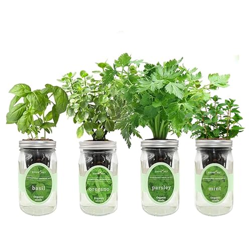 Hydroponic Herb Growing Kit Set, Self-Watering Mason Jar Herb Garden Starter Kit Indoor, Grow 4 Kinds of Herbs from Seeds (Basil, Mint, Parsley & Oregano)