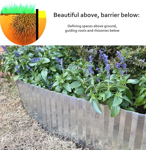 Anleolife Galvanized Steel Landscape Edging Roll, 20FT x 4" Silver - color: Silver, size: 4 inch× 20 ft