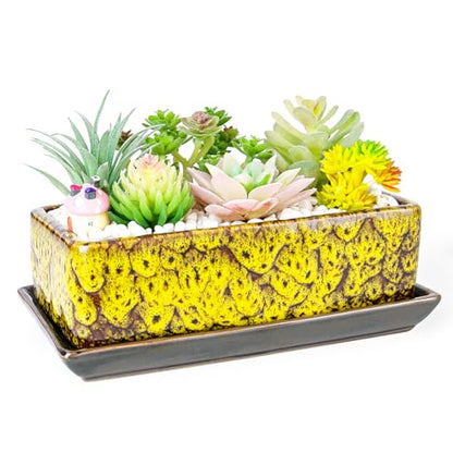 Succulent Pots - Long Rectangle Succulent Planters with Drainage Tray - color: Yellow