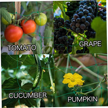 YARNOW Plant Climbing Net Green, Trellis Netting for Climbing Plants Vegetables Fruits, Ideal for Outdoor Vertical Horizontal Use