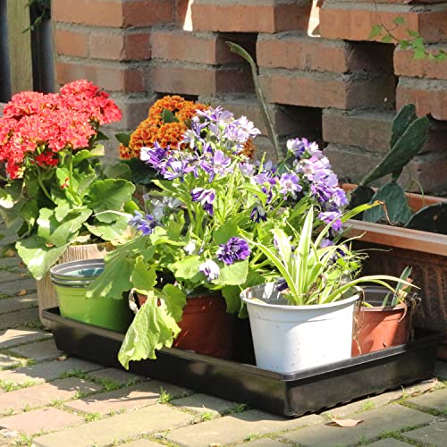 Gardzen 10 Pack Seed Trays Reusable Plant Grow Trays No Drain Holes - size: 21L x 11W x 2.4H