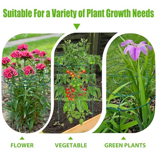 4 Pack Large Peony Cages and Supports, 14" D x 24" H Metal Plant Supports - size: 14" Wx24" H-4 Pack