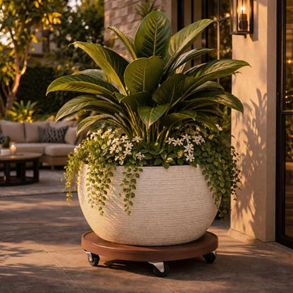DeVaultEnterprises 23.5" Rolling Plant Caddy with Wheels, Heavy Duty Plant Pot Stand with Casters & Locking Wheel, Indoor Outdoor Planter Base for Pots, Round Plant Tray, Espresso, Supports 500 lbs