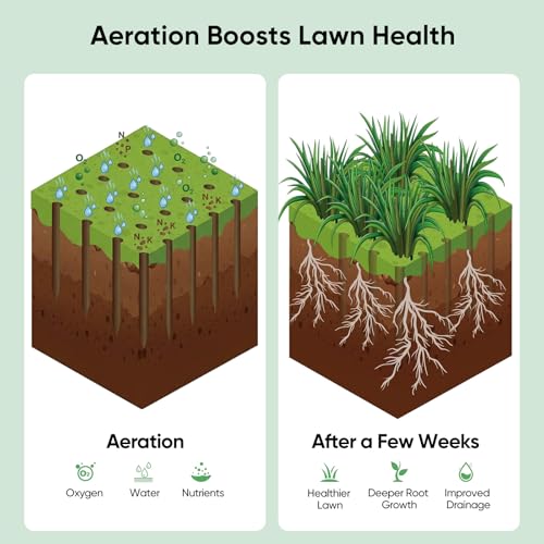 Grenebo Lawn Aerator Manual Aerator Lawn Tool with 16 Spikes, Black Green - color: Black Green