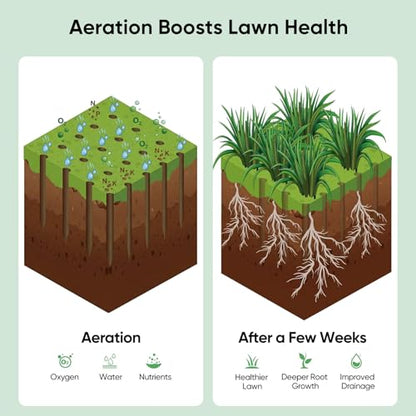 Grenebo Lawn Aerator Manual Aerator Lawn Tool with 16 Spikes, Black Green - color: Black Green