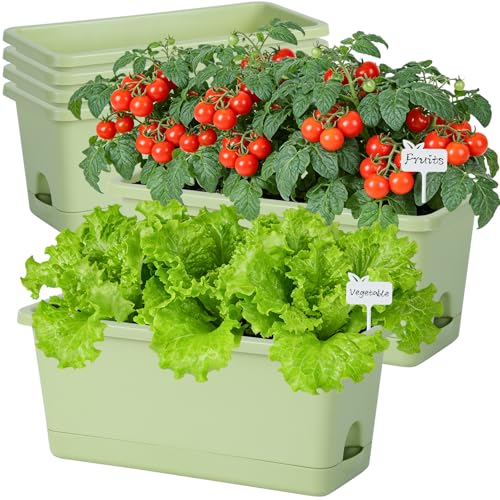 Oliz Window Box Planter 6 Packs, 13.8 Inches Rectangle Flower Pots with Drainage Holes & Trays, Pots for Vegetables, Herbs, Flowers, Garden Windowsill Balcony (Green) - color: Green