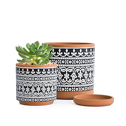 D'vine Dev 2-Pack Terracotta Pots, 4/6 in, Terra/Black, 31-958-F-2 - color: Terracotta/Black