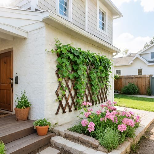 Expandable Garden Trellis, 38"x89" Trellis for Climbing Plants Outdoor 1Pcs - size: 38" x 89" 1 Pack