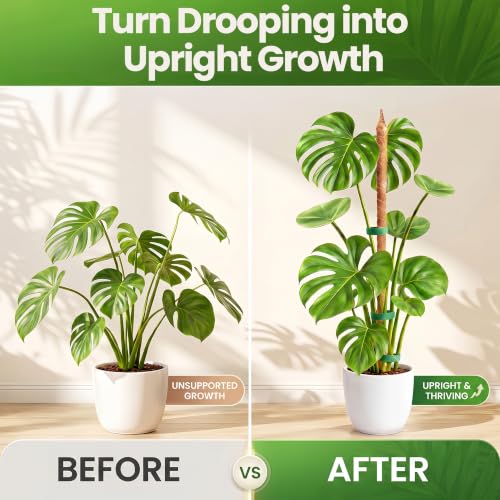 63'' Moss Pole Monstera Plant Support for Climbing Indoor Plants - size: 1-Pack (63 in)