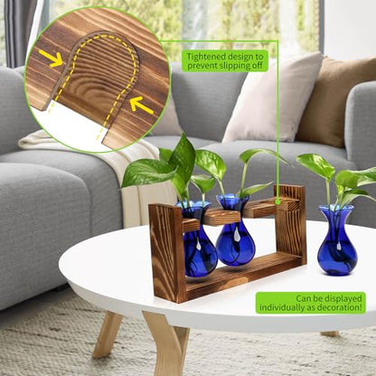 Plant Propagation Station Plant Terrarium Unique Birthday Gifts for Women - color: Blue