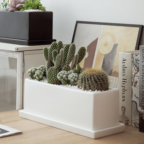 12 Inch Rectangular Ceramic Plant Pot, Window Box, Glazed White - color: White, size: 12 Inch