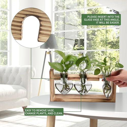 Plant Terrarium Propagation Stations Hydroponics - color: Gray