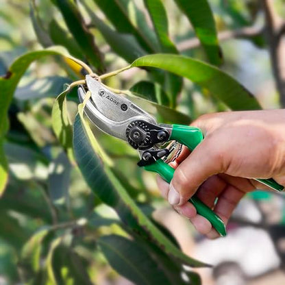 Adre Bypass Garden Pruning Shears – 8-inch Professional Pruning Shears for Gardening – High Carbon Steel Garden Clippers with Non-Slip Handles – Sharp Hand Pruners for Small Branches, Pruning Trimming