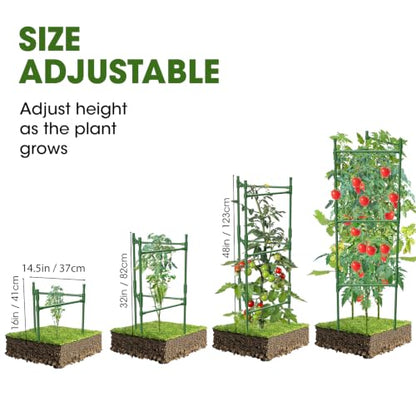 3 Pack Tomato Cage,Tomato Cage for Raised Garden Bed, 48'' Tall Tomato Trellis Triangle or Square Cages for Garden,Pots, Plant Cages & Supports（Green, Extra Bold ） - style: 3 pack