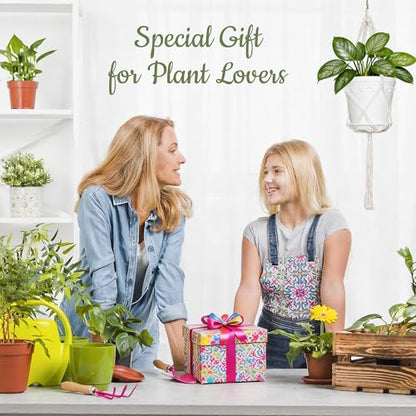 Hanging Planters with Macrame Plant Hangers, 3-Set Self Watering Pots, Hanging Flower Baskets for Indoor Outdoor Plants,3 Different Sizes