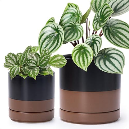 D'vine Dev 2-Pack Ceramic Pots with Saucers, Black/Tan, 4/6 in, 94-G-S-7 - color: Black/Speckled Tan, size: Small