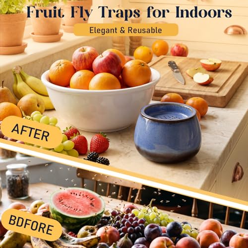 1 Pack Ceramic Fruit Fly Traps Reusable, Reactive Glaze, Cobalt Blue - color: Cobalt Blue, size: Reactive Glaze