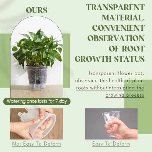 Wonderjune Self Watering Planter, 4.72'', Clear, 6 Pcs - color: Clear, size: 4.72''