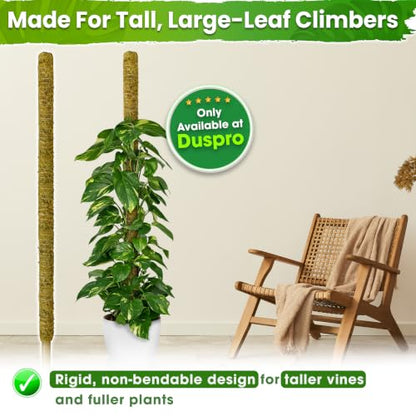 DUSPRO 59" Natural Large Moss Pole for Big & Mature Plants, (1pc., 59'') - size: 59" NATURAL MOSS POLE for BIG PLANTS