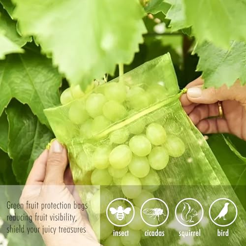Fruit Protection Bags, Fetanten 4x6 in Mesh Drawstring Bag for Fruit Trees - size: 4 x 6 Inch 40pcs