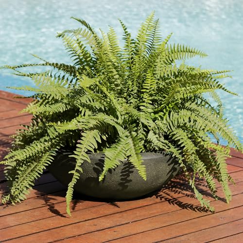 Sunnydaze Percival 20.75" Shallow Outdoor Planter Bowl, Sable, 2pk - color: Sable