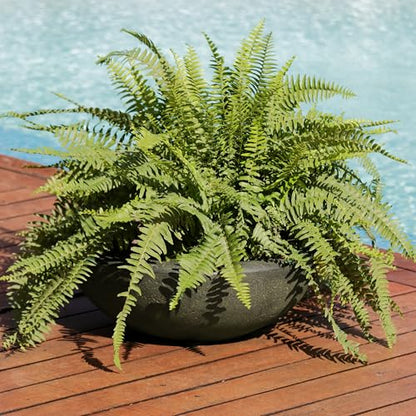 Sunnydaze Percival 20.75" Shallow Outdoor Planter Bowl, Sable, 2pk - color: Sable