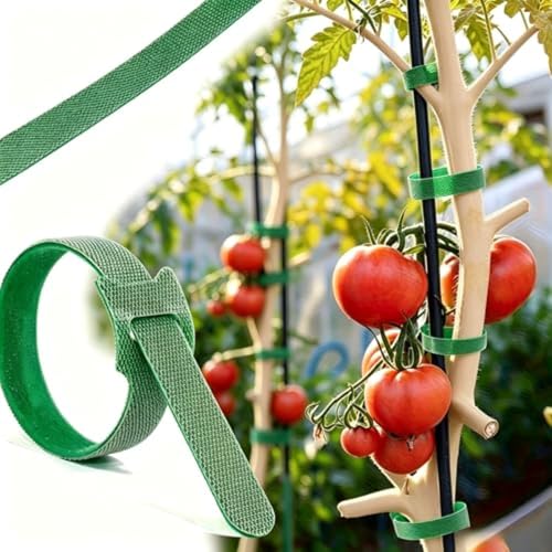 50-Pack Reusable Plant Ties, Adjustable Velcro Garden Straps for Climbing Plants, Tomatoes, Vines & Trees, Multi-Purpose Hook & Loop Plant Support & Garden Organization