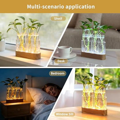 Plant Propagation Station with LED Grow Lights, 4 Glass Tubes & Oak Stand