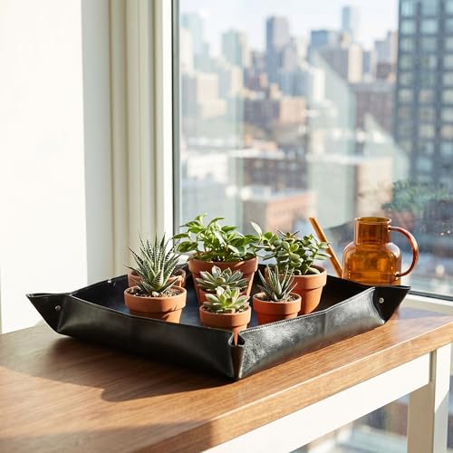 Foldable Indoor Plant Potting Mat for Transplanting and Mess Control, Portable and Easy-to-Clean, 50 cm, Black - size: Black (50cm)