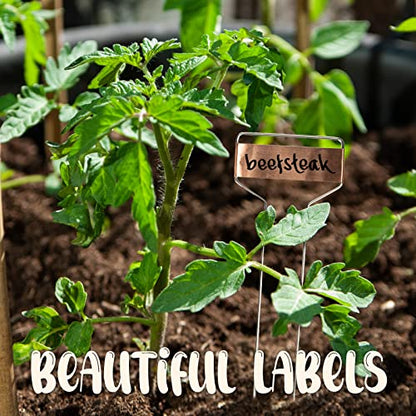 Metal Plant Labels for Garden, Waterproof Markers Outdoor Use, 25 Pack 10"
