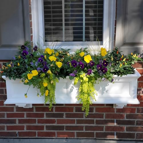 Mayne Fairfield 4ft White Durable Self Watering Window Box Planter with Wall Mount Brackets (5823-W) Bundle with Decorative Brackets, White, 2 Count
